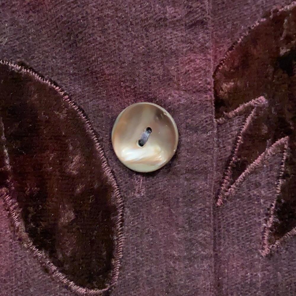 Gorgeous Plum Velvet Suit Jacket by Chico’s - Picture 3 of 11
